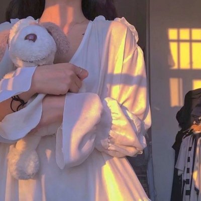 联邦调查局第七季